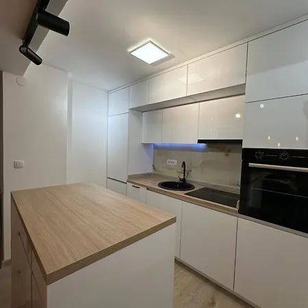 Savic Apartment Pale