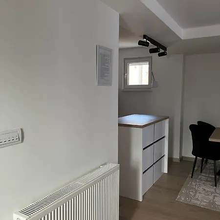 Apartment Savic *